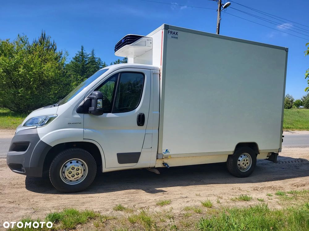 Fiat Ducato 2016r 2.3 JTD 130KM Izoterma Chłodnia Food Truck Sklep HAKI na mięso półki Mroźnia Agregat - 18