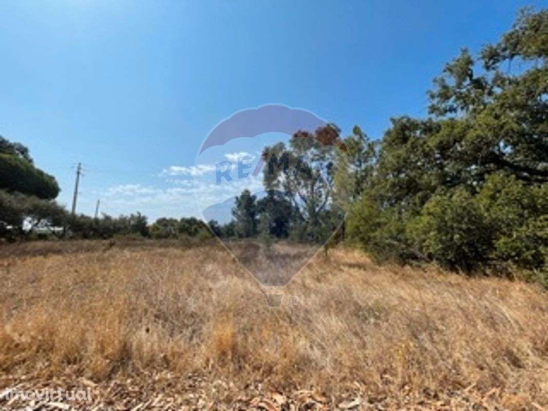 Terreno  para venda - Grande imagem: 3/4