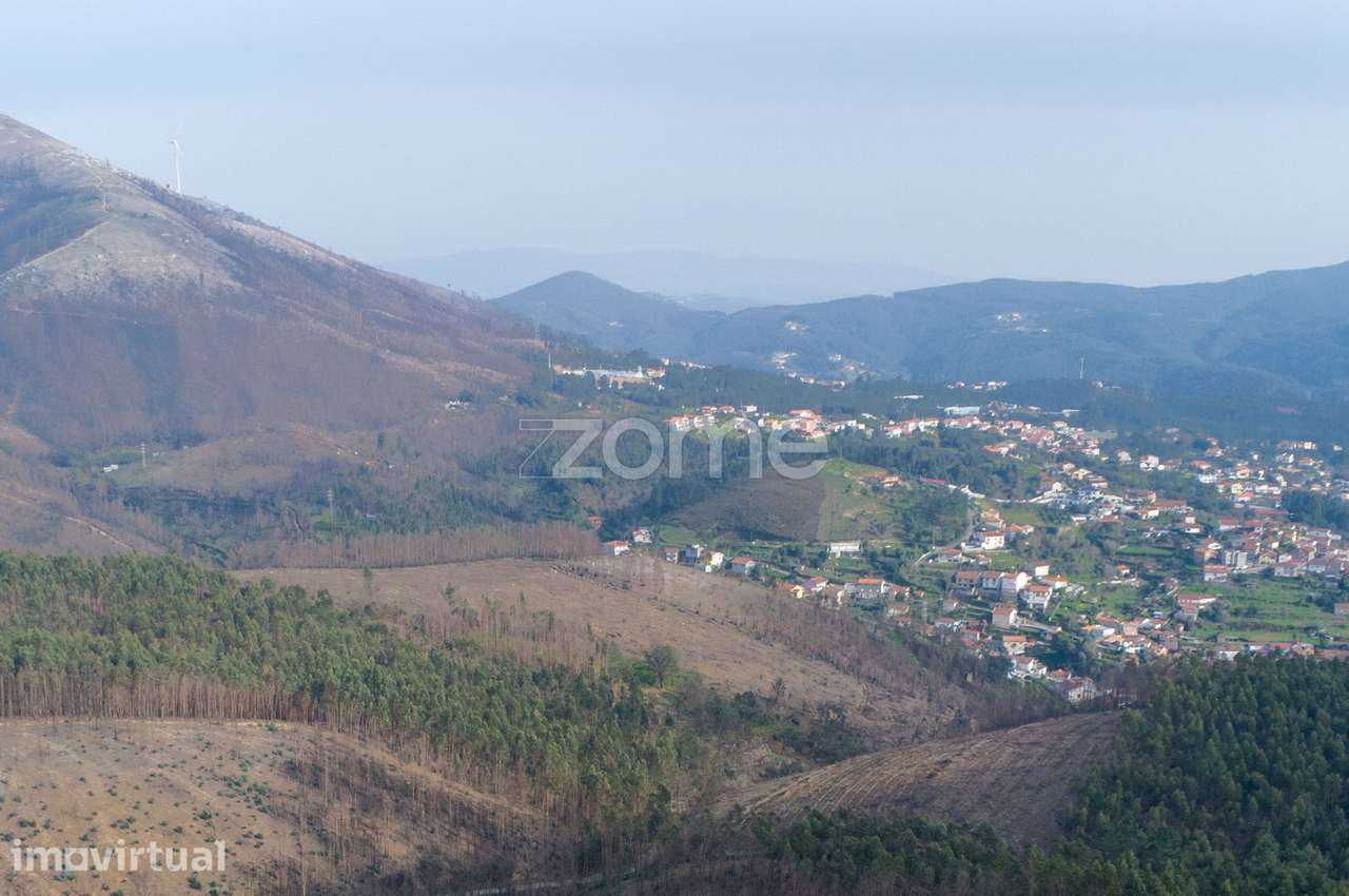 Terreno florestal urbanizável com 42.000 m2 - Rio Mau, Penafiel - Grande imagem: 4/12
