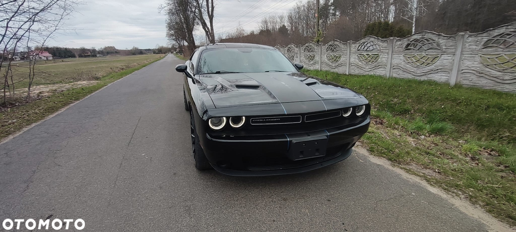 Dodge Challenger 3.6 SXT - 31