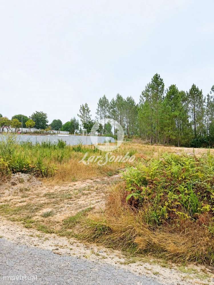 Terreno com Projeto Aprovado para Moradia Térrea - Grande imagem: 5/25