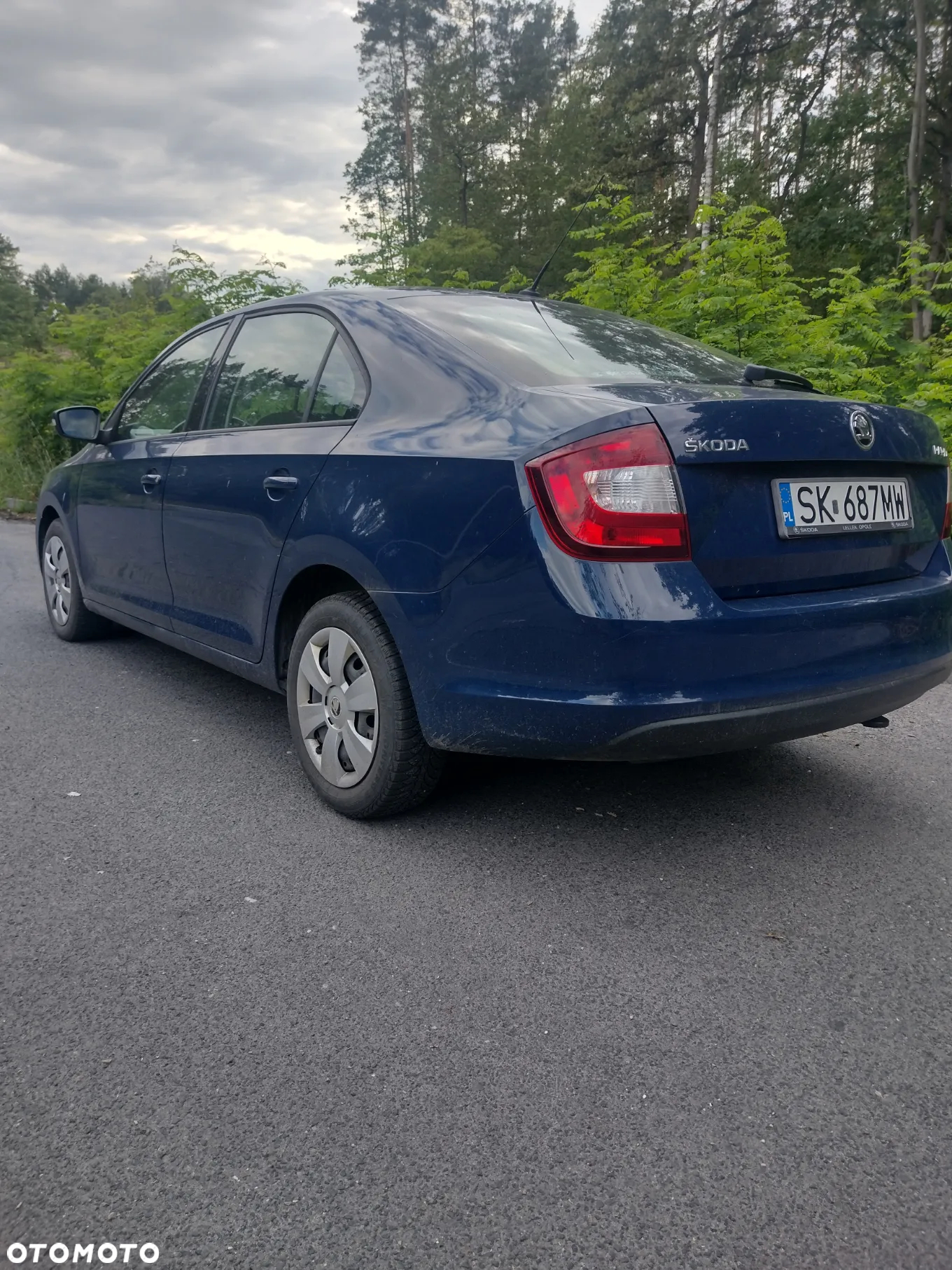 Skoda RAPID - 10