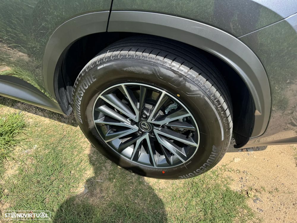 Lexus NX 450h+ Premium - 25