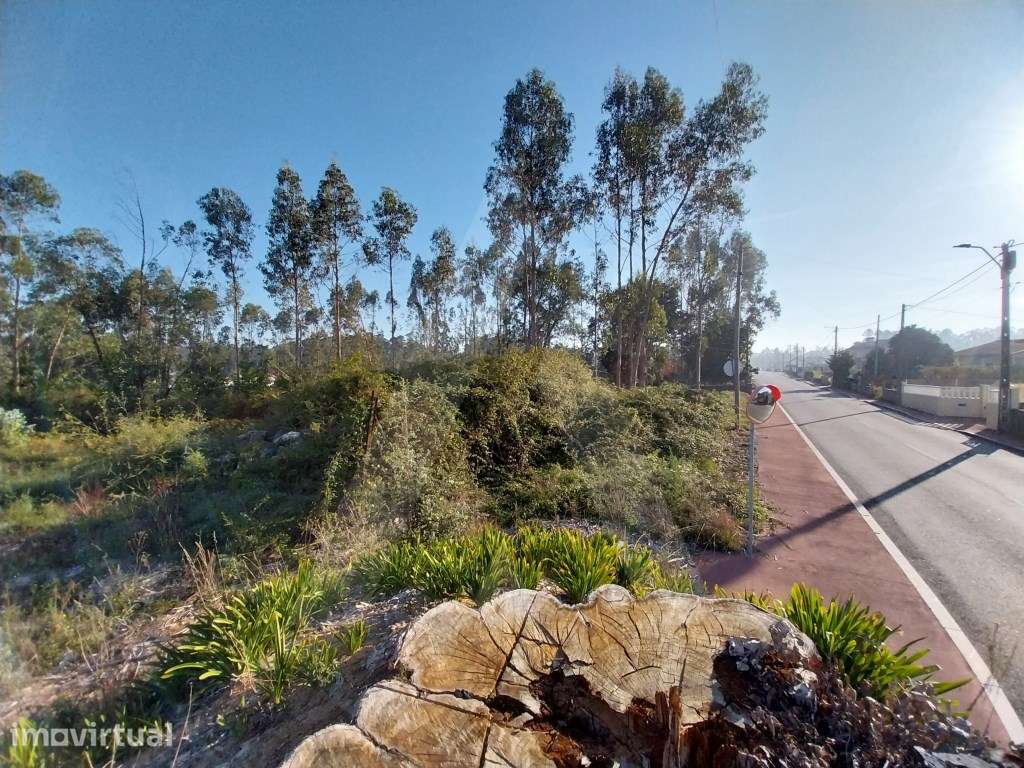 Terreno em São João de Ovar - Grande imagem: 2/12