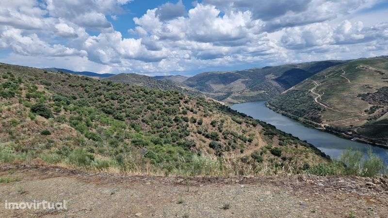 Terreno com vinha em sequeiros - Grande imagem: 2/2