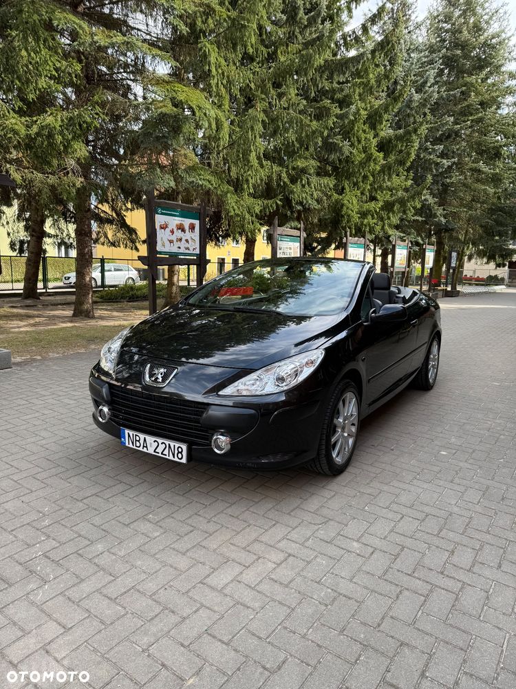 Peugeot 307 CC 2.0 - 10