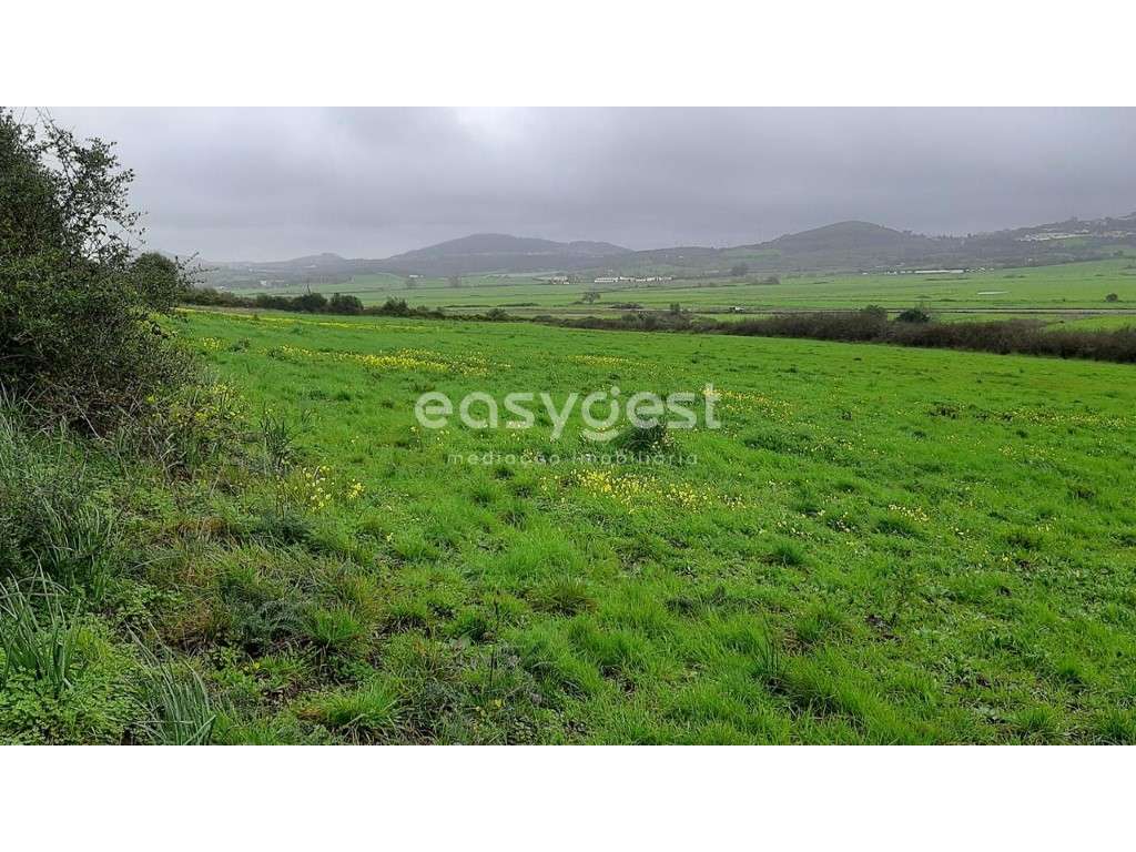 Terreno Rústico com 13960m2 a 2 km do centro de Pêro Pinheiro. - Grande imagem: 2/12