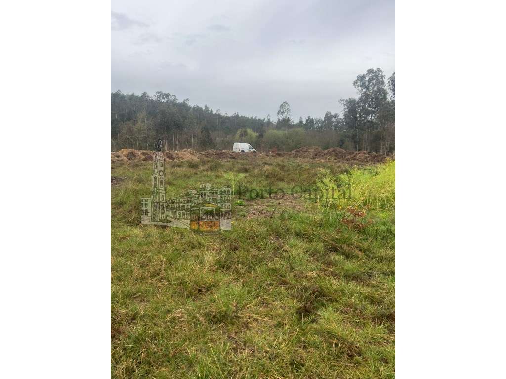 EXCELENTE TERRENO COM 6000m2 - Grande imagem: 3/34