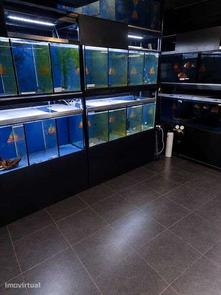 Trespasse Loja de Animais - Grande imagem: 5/12