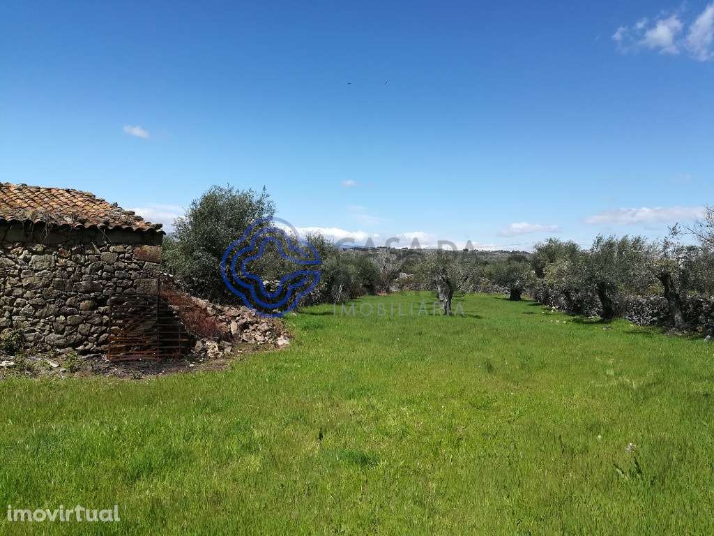 Prédio T6, com quintal em  Oledo para recuperar - Grande imagem: 2/60