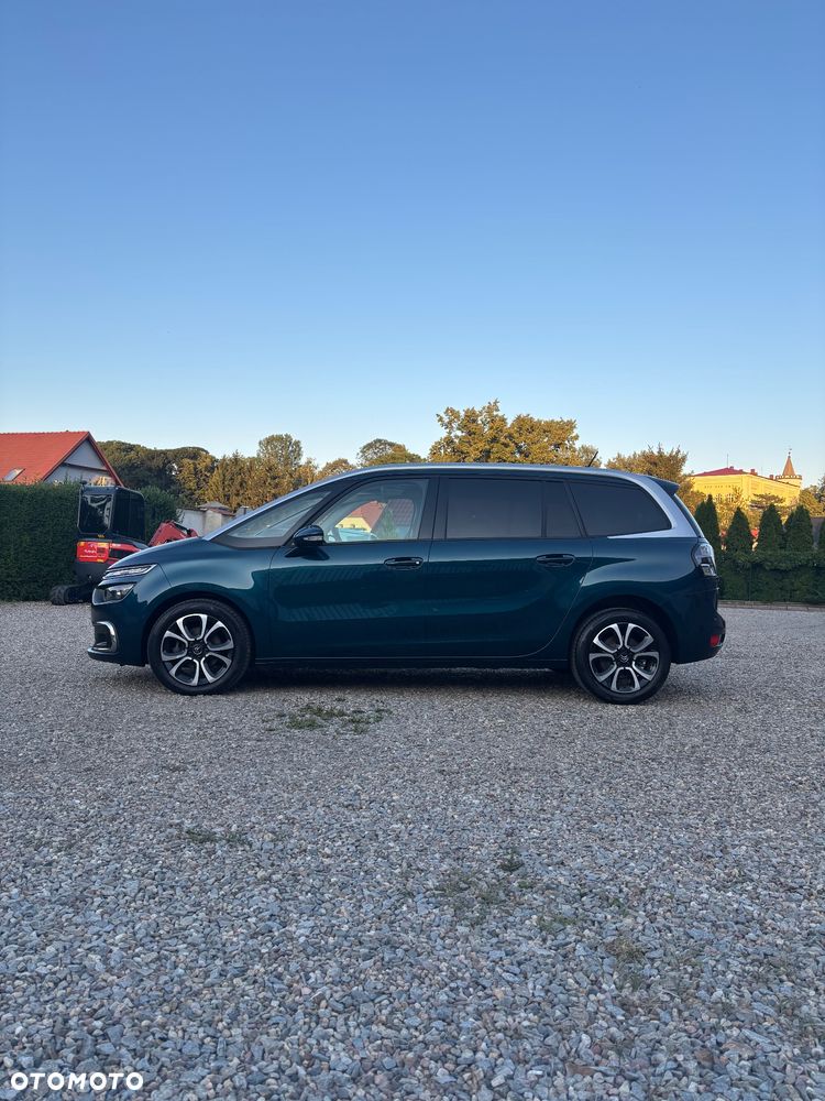 Citroën C4 SpaceTourer 1.5 BlueHDi Shine Pack S&S EAT8 - 6