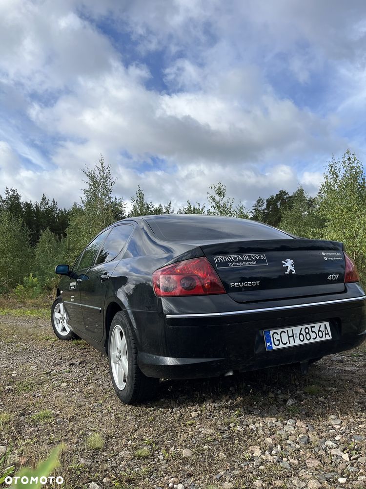 Peugeot 407 - 4