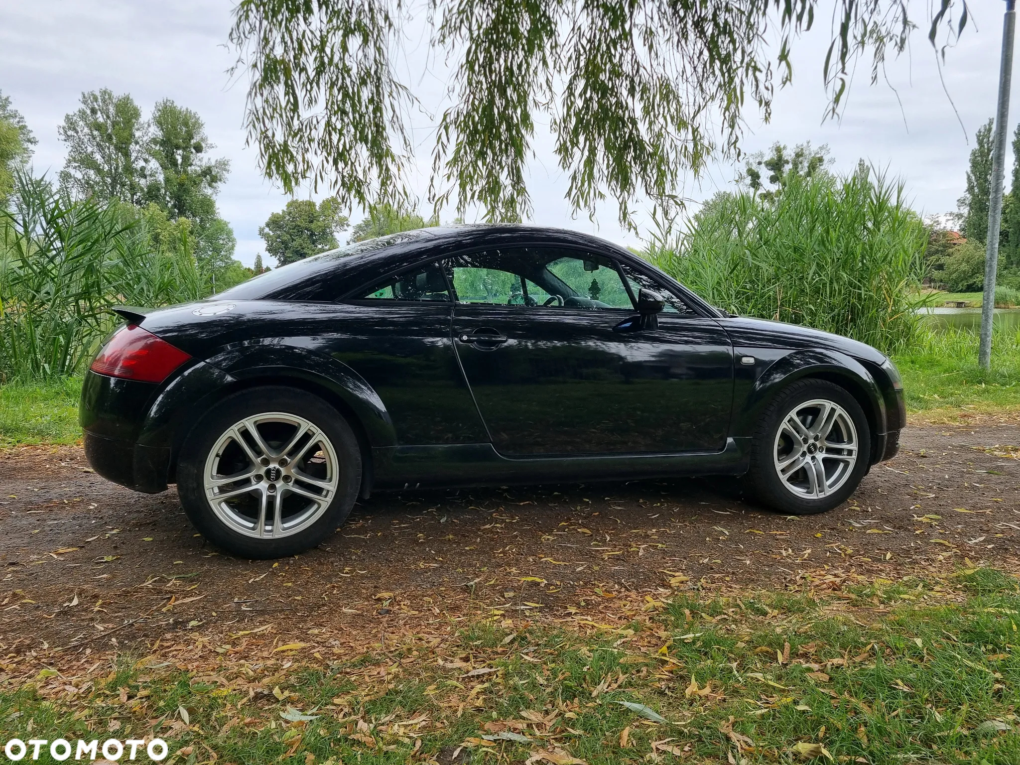Audi TT Coupé Coupe 1.8 T - 3