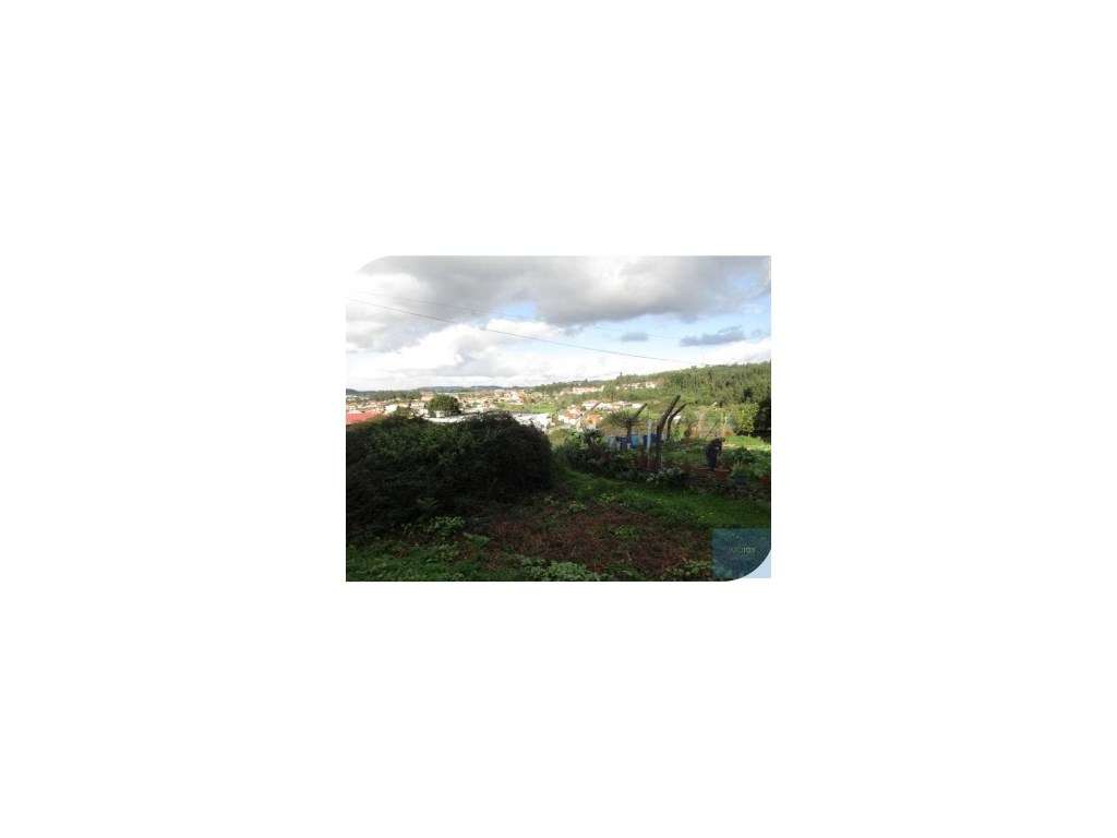 Terreno em Santa Maria da Feira - Grande imagem: 2/12