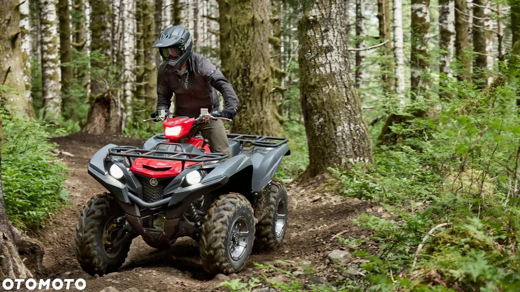 Yamaha Grizzly