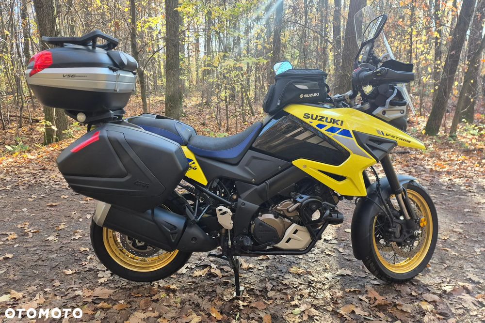 Suzuki DL - 7