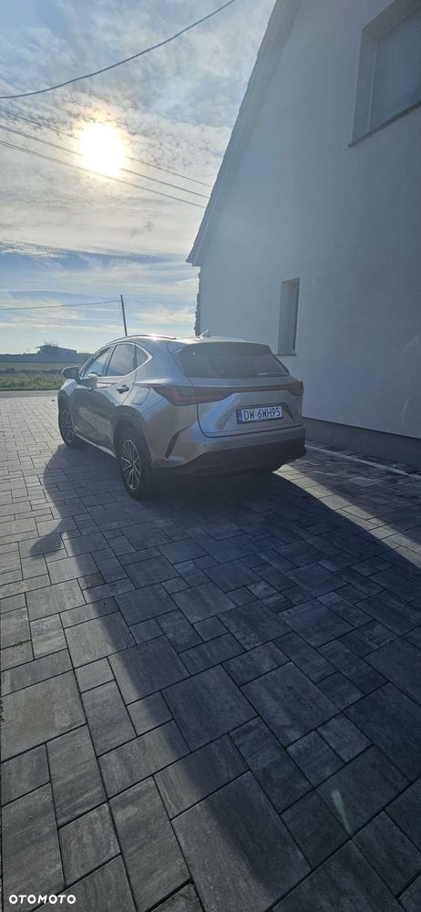 Lexus NX 450h+ Prestige AWD - 4