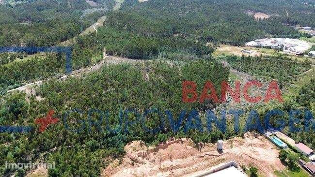 Terreno Industrial Premium  Zona Industrial do Moinho do Calhau | C... - Grande imagem: 5/5