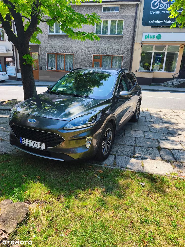 Ford Kuga 1.5 EcoBoost AWD Trend ASS - 15
