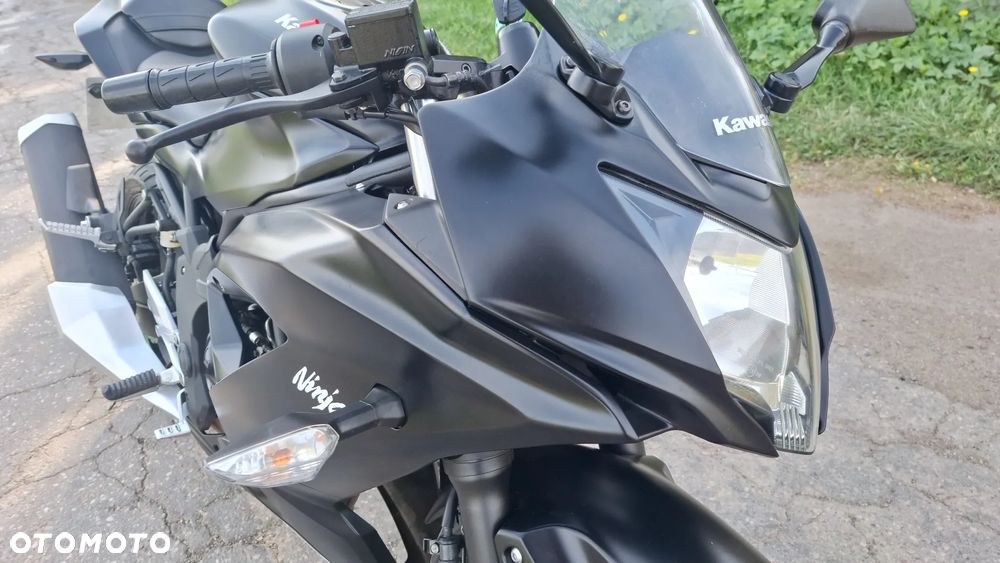 Kawasaki Ninja - 10