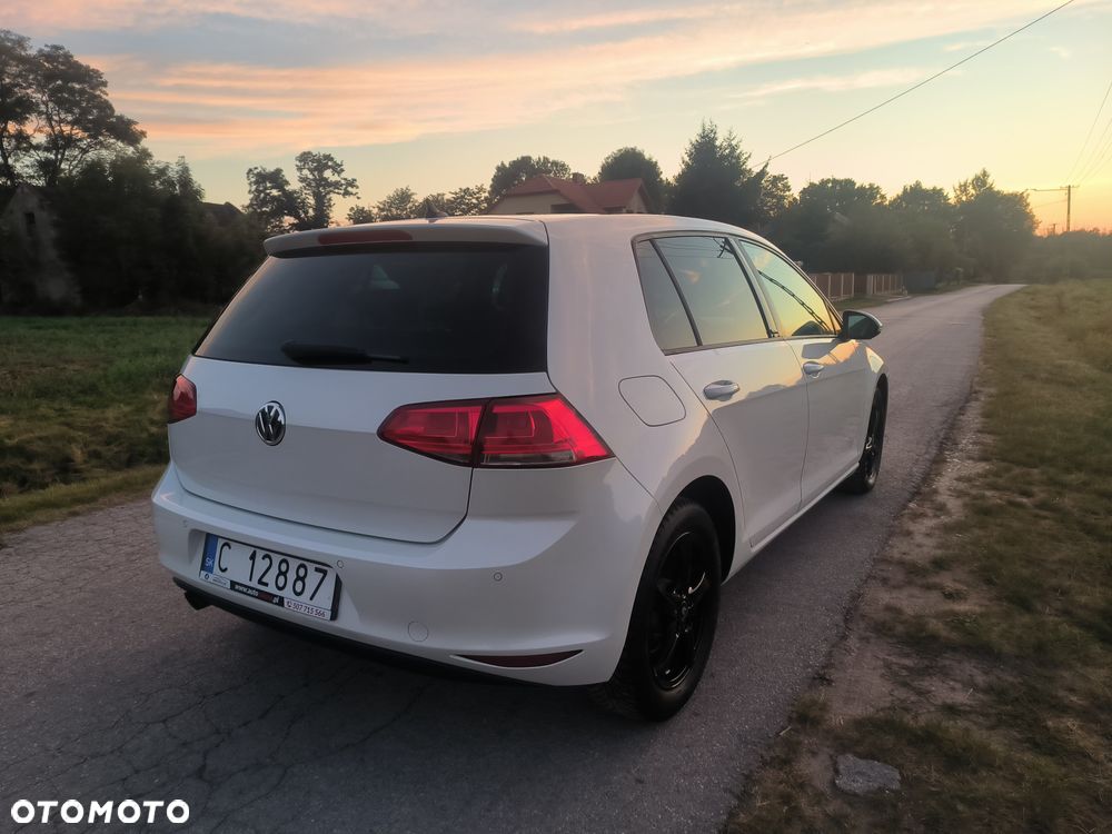 Volkswagen Golf 1.6 TDI BlueMotion Technology DSG Allstar - 7