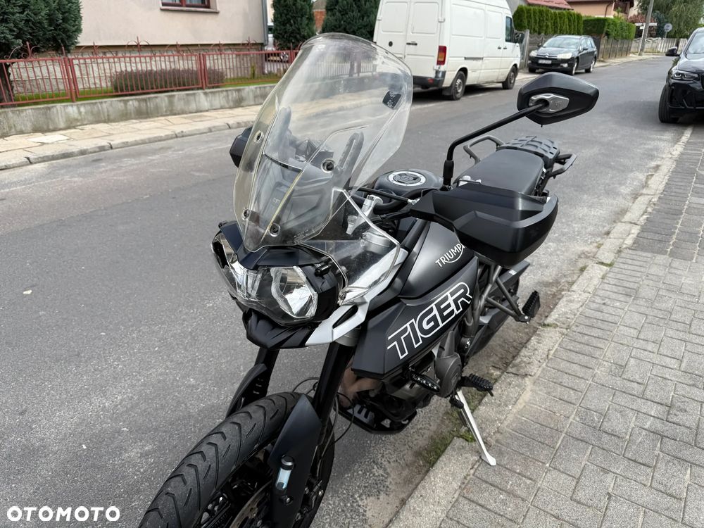 Triumph Tiger - 16