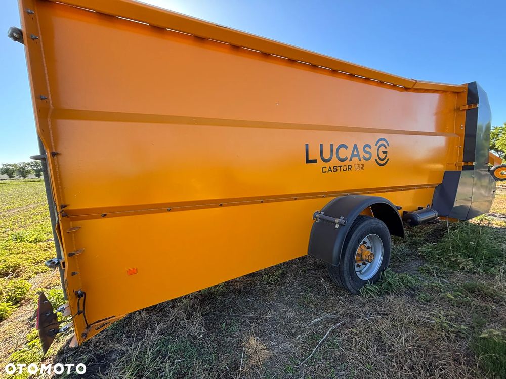Inny Lucas G Castor 185 - 8