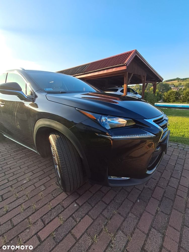 Lexus NX - 34