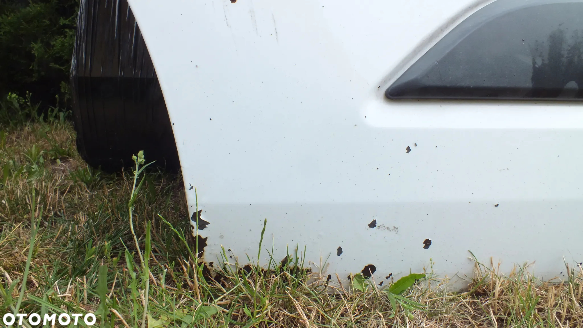 Drzwi przednie lewe Ford Transit Custom - 2
