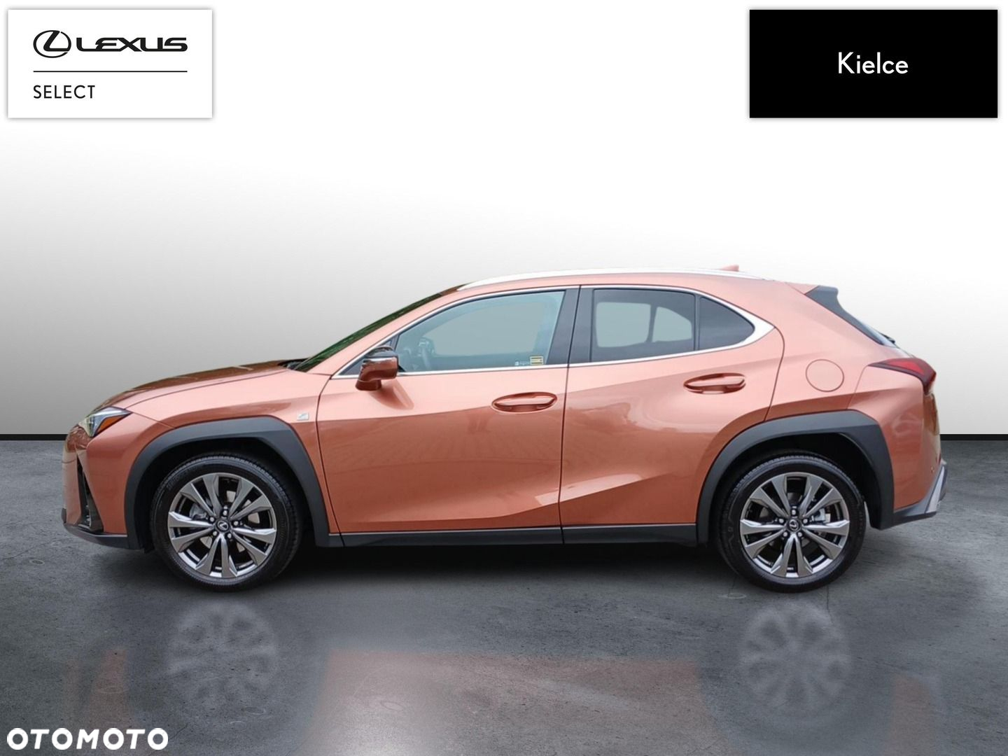 Lexus UX 300h F Sport Design - 2