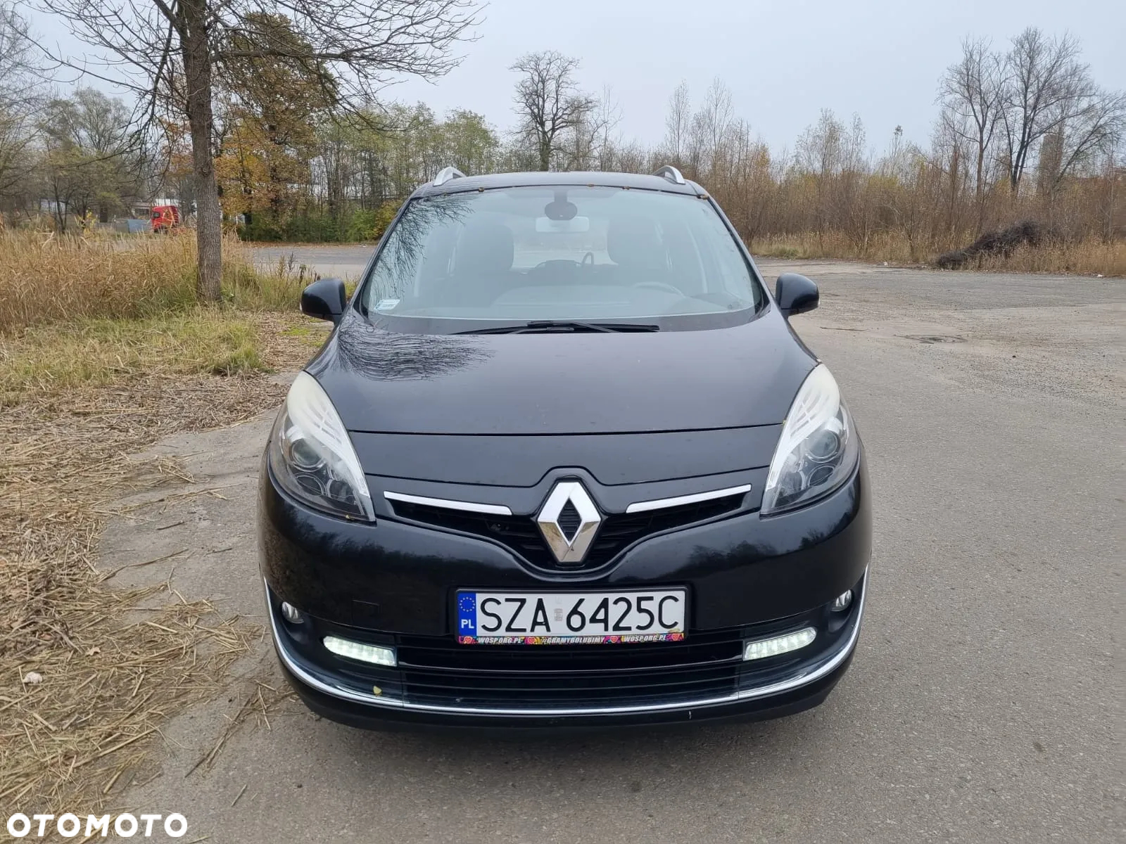 Renault Scenic - 2