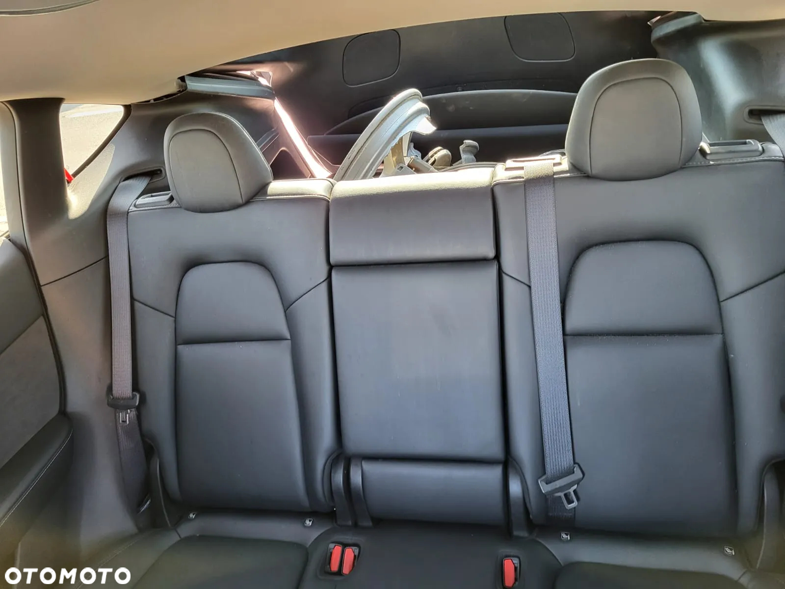 Tesla Y 62.8 RWD - 4