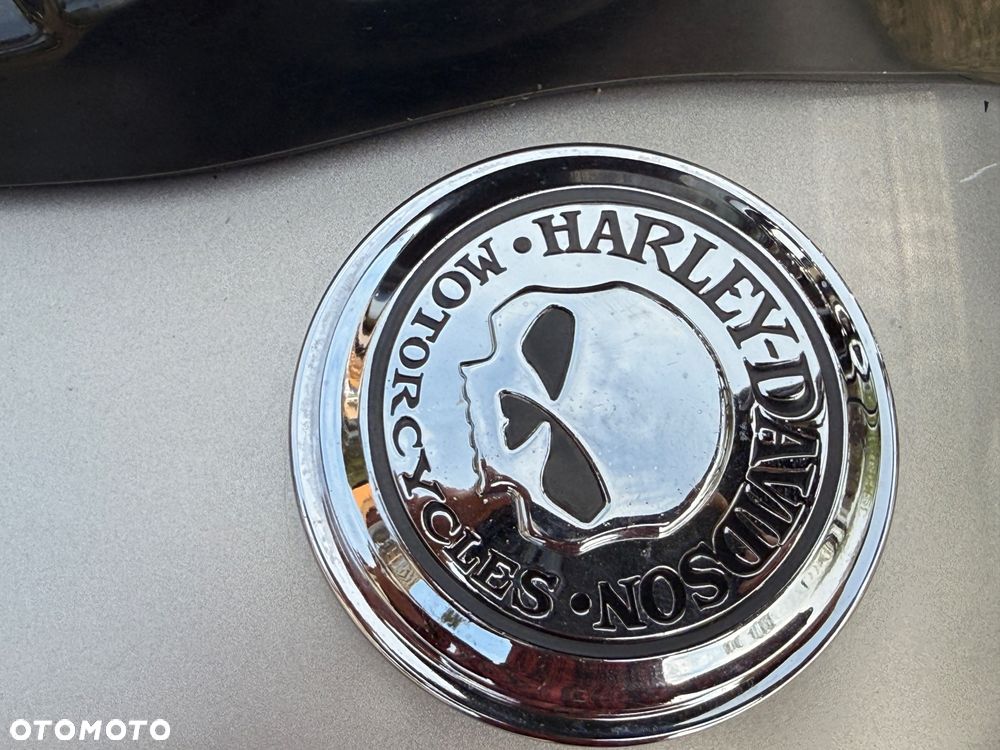 Harley-Davidson Softail Cross Bones - 15