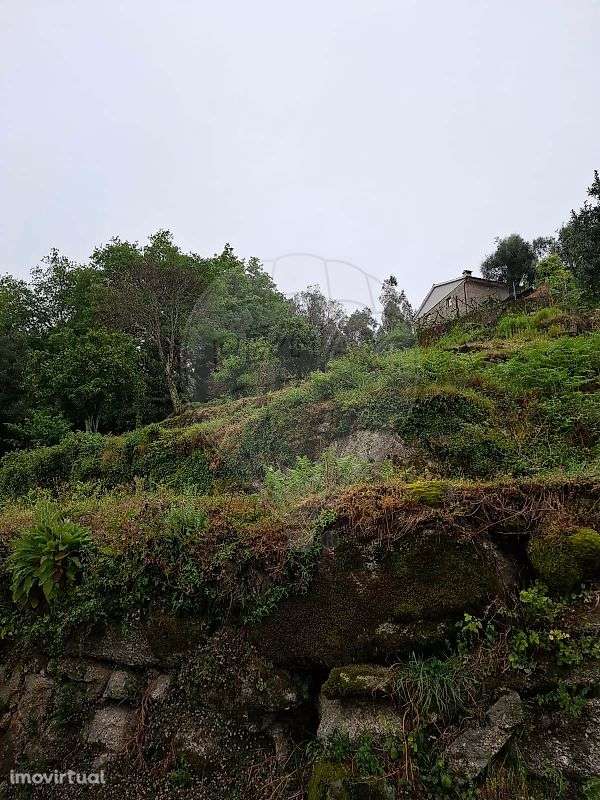 Terreno  para venda - Grande imagem: 2/5