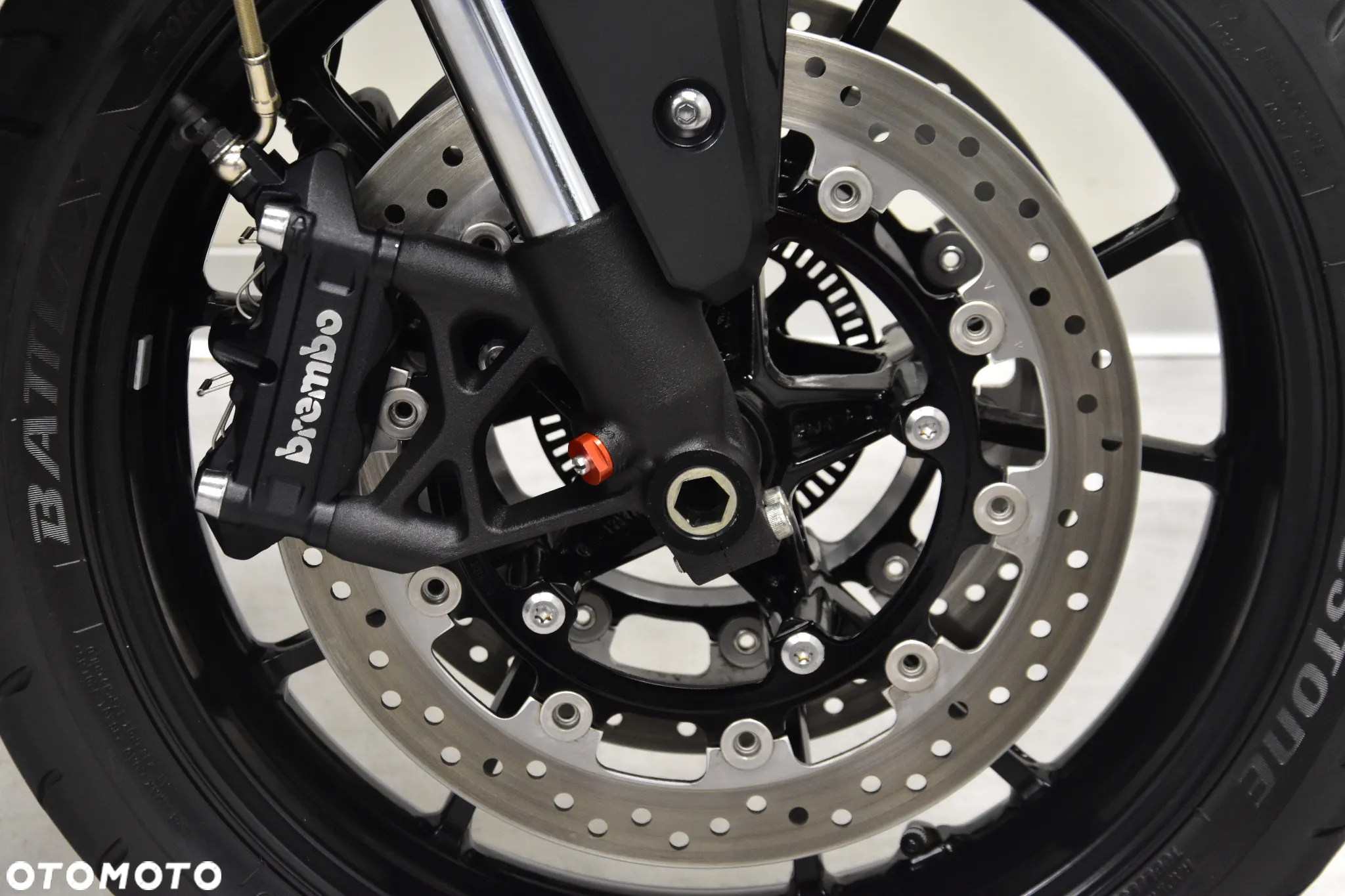 Triumph Speed Triple - 31
