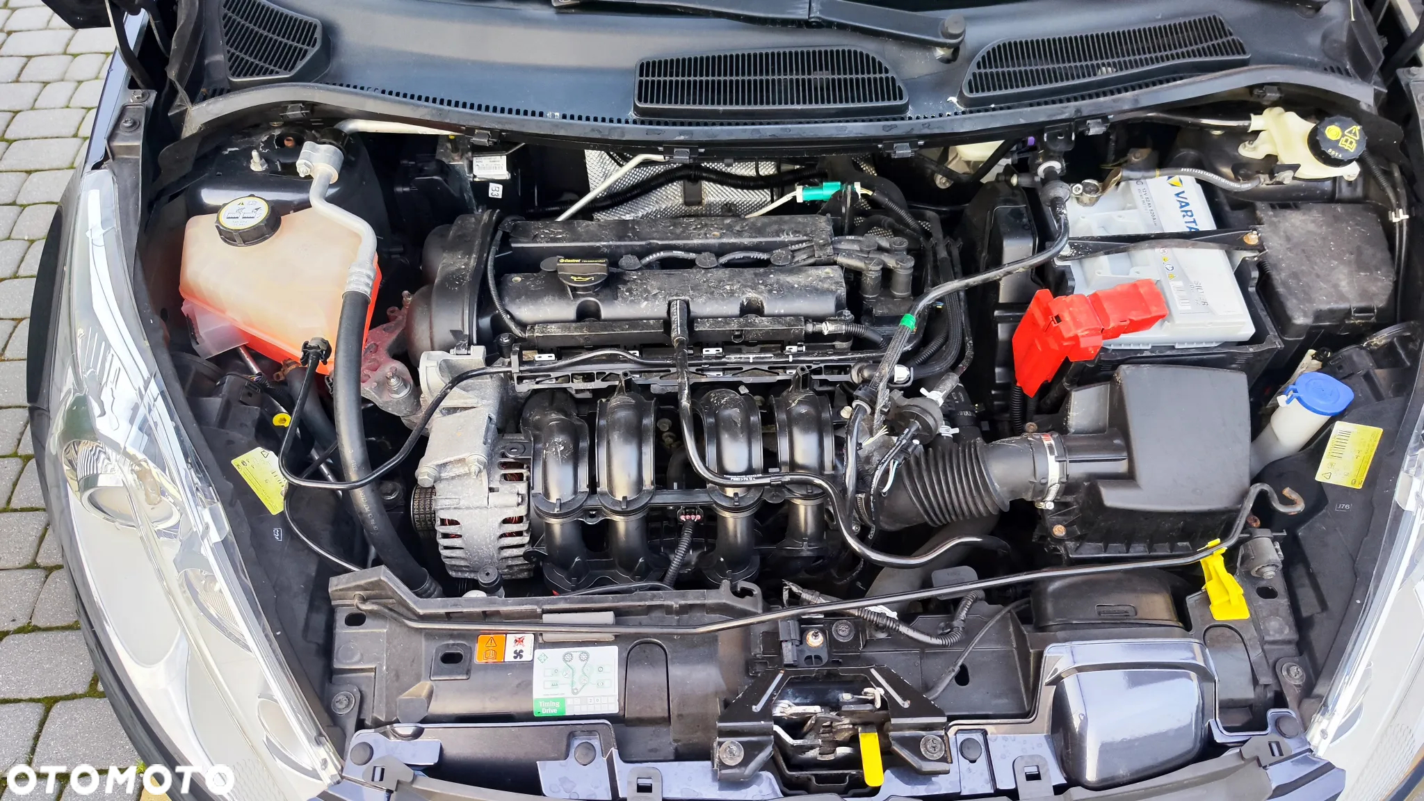 Ford Fiesta 1.25 Platinium X EU5 - 26