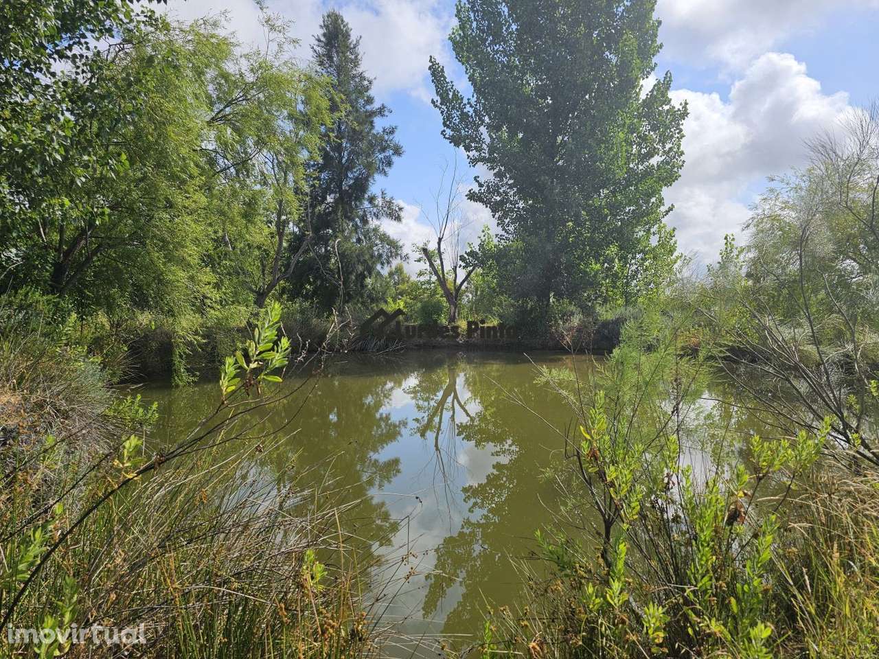 Quinta com habitação - Grande imagem: 3/28