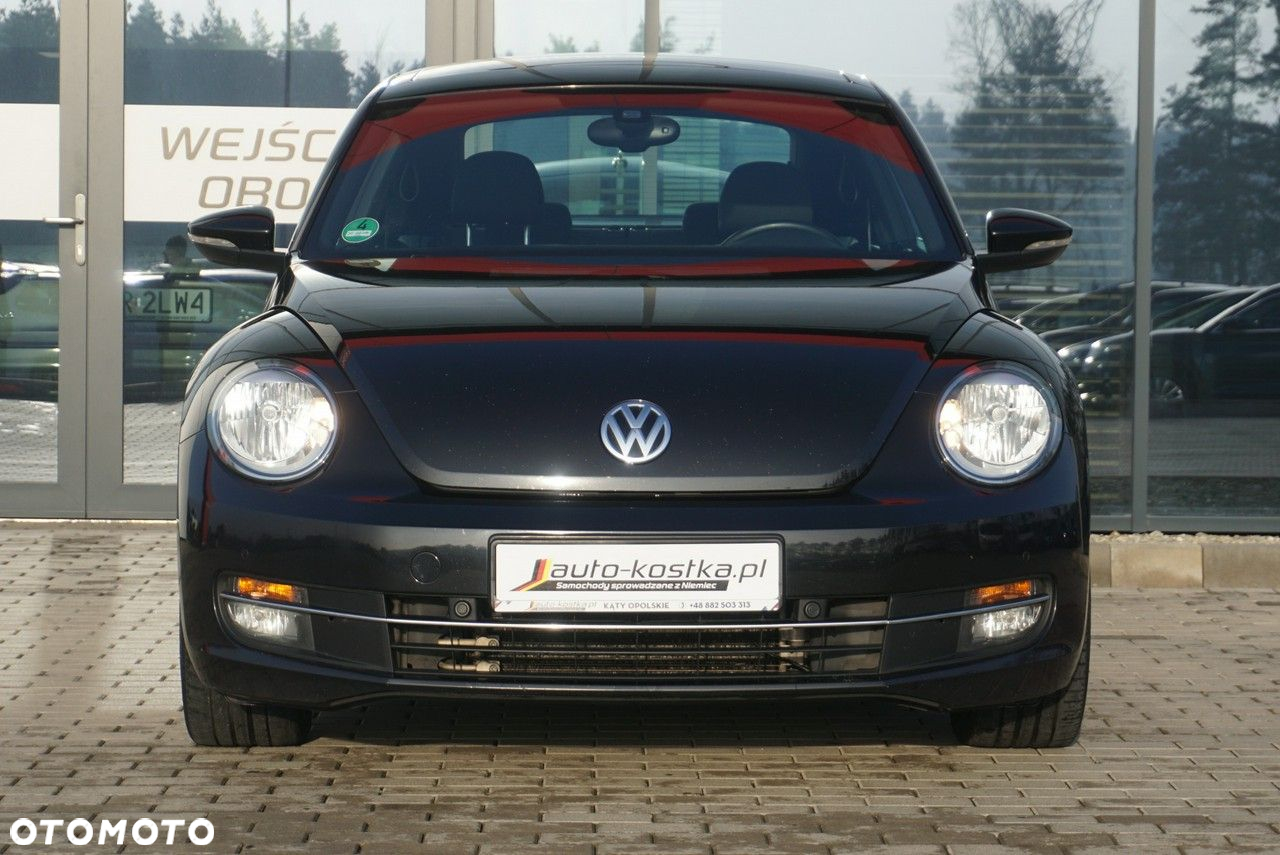 Volkswagen Beetle - 5
