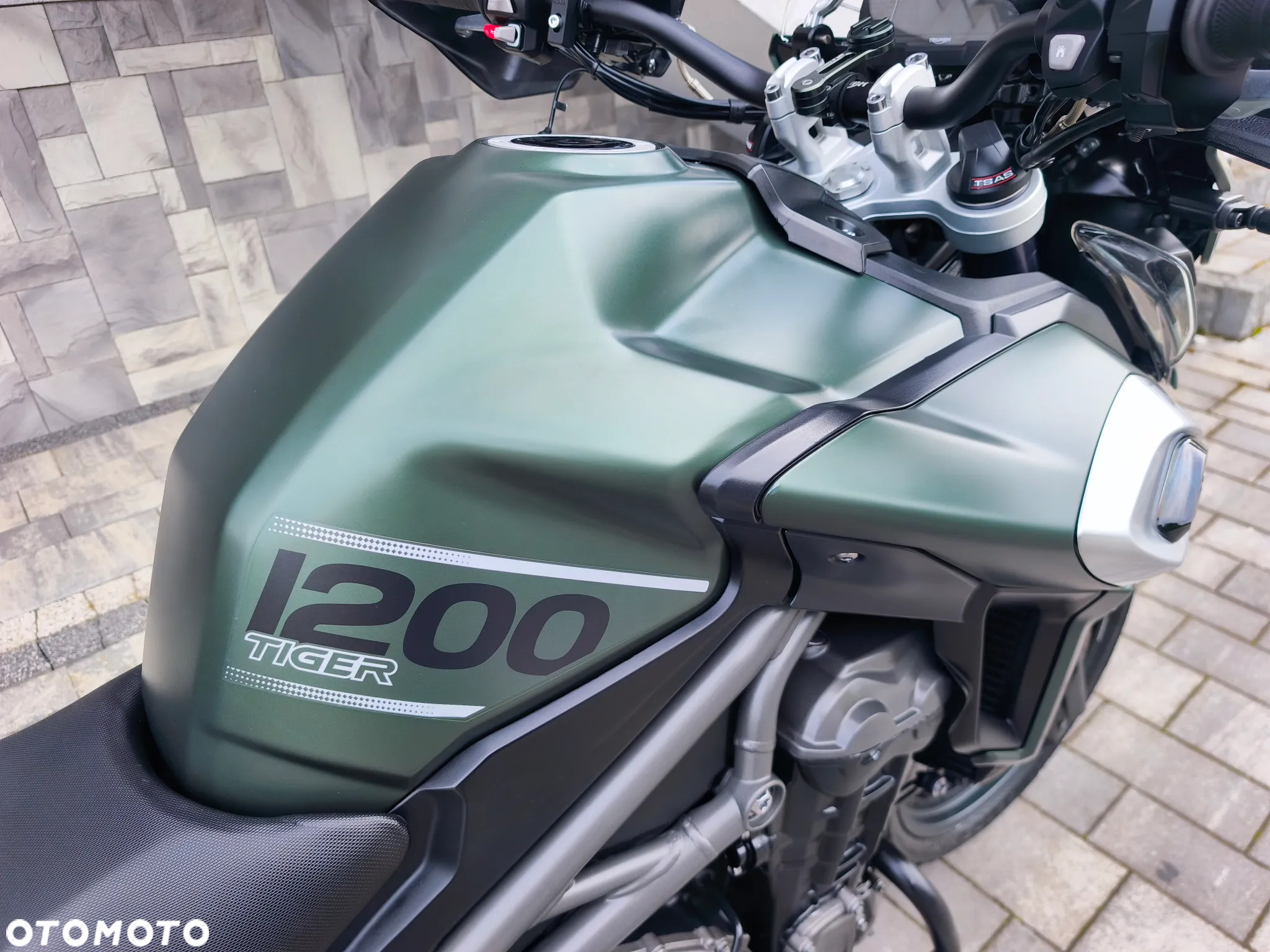 Triumph Tiger - 12