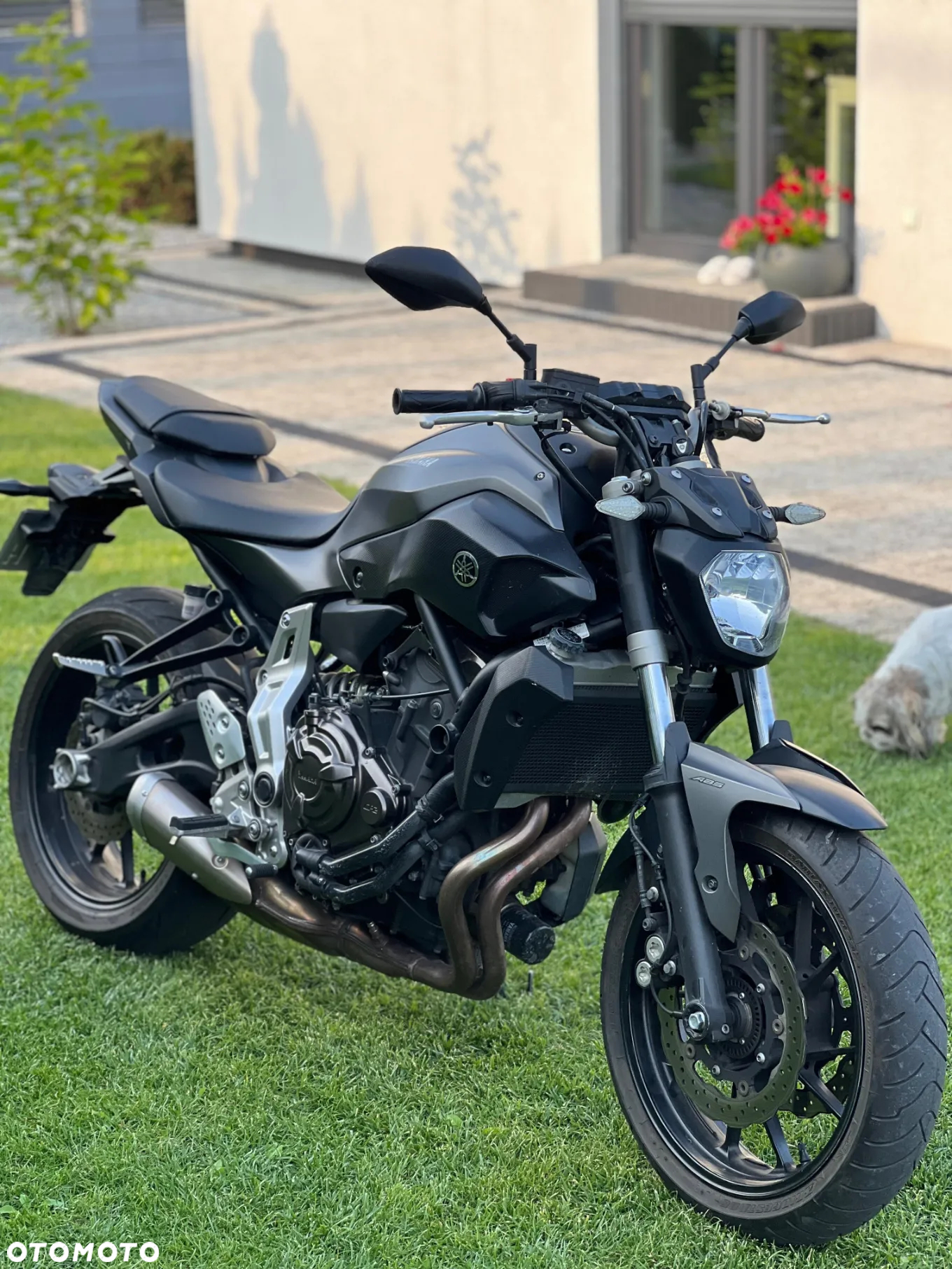 Yamaha MT - 5