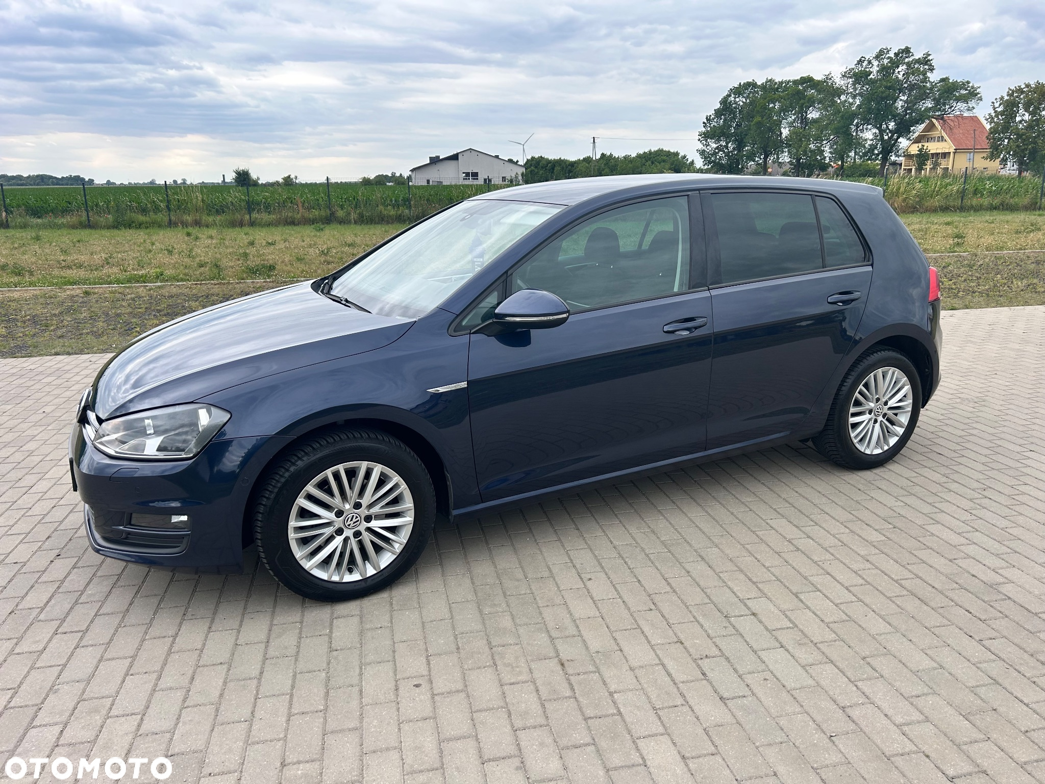 Volkswagen Golf - 12