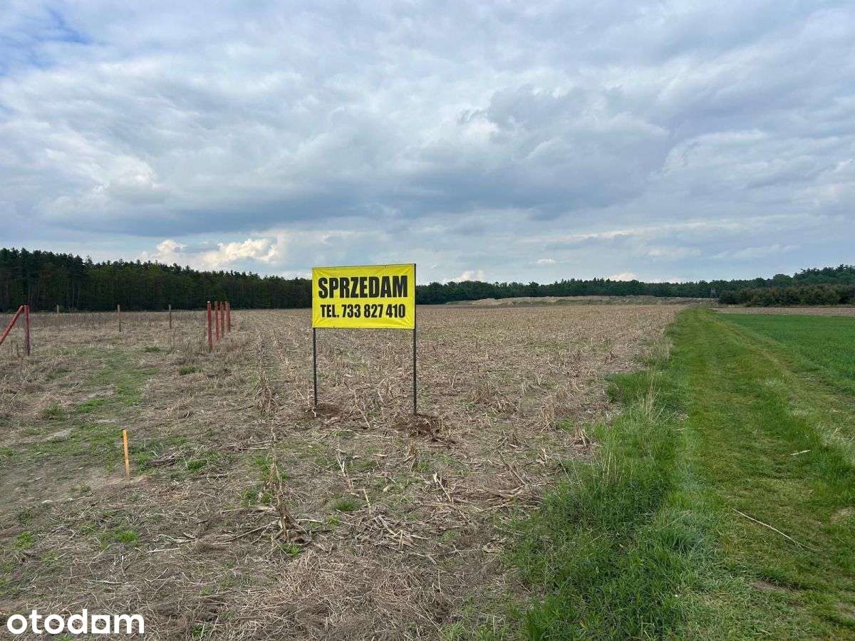 Działki budowlane Bystrzyca przy lesie - Pełny obrazek: 5/8