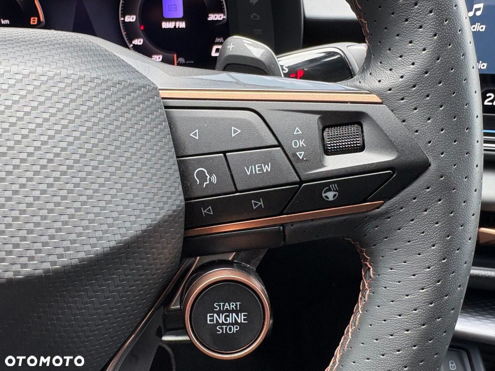Cupra Terramar 2.0 TSI 4Drive DSG - 25
