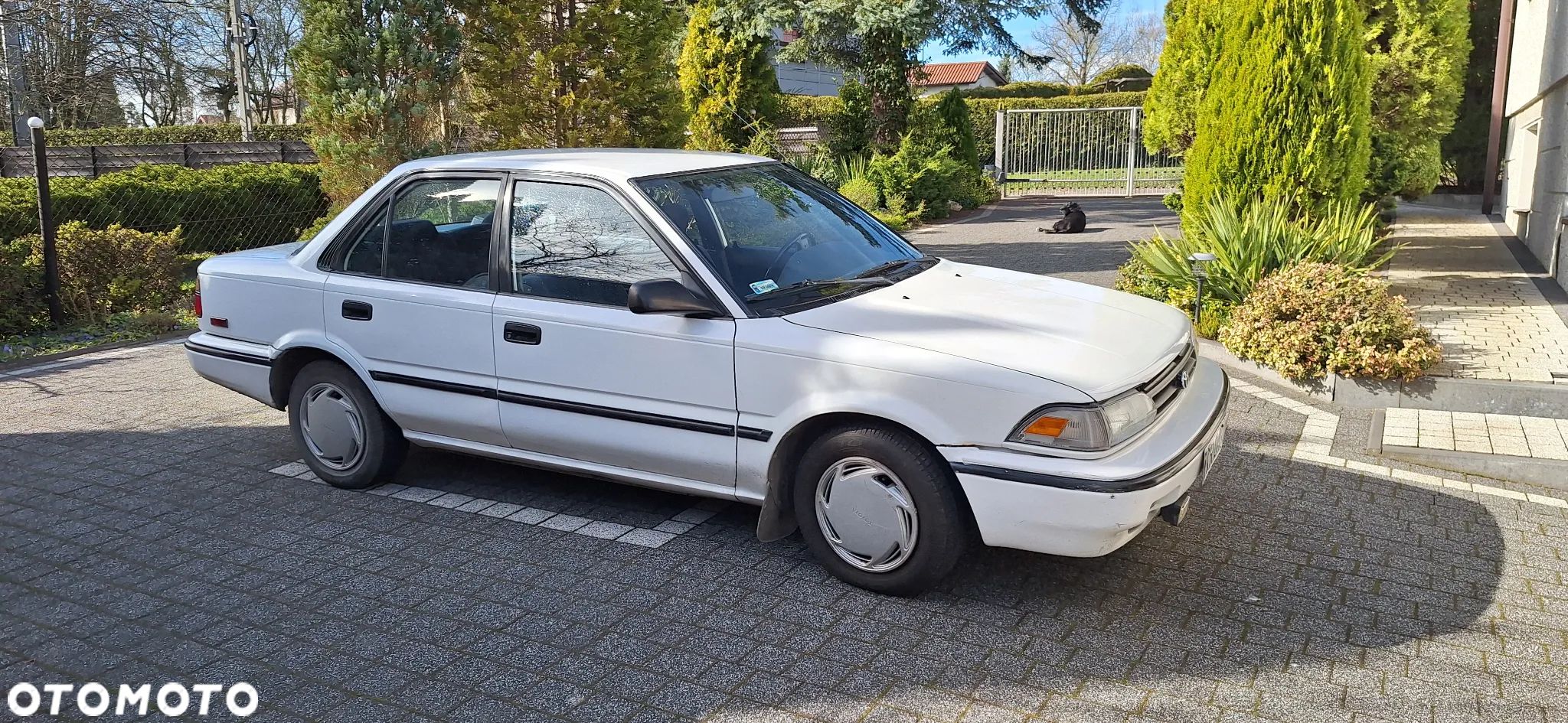 Toyota Corolla - 1