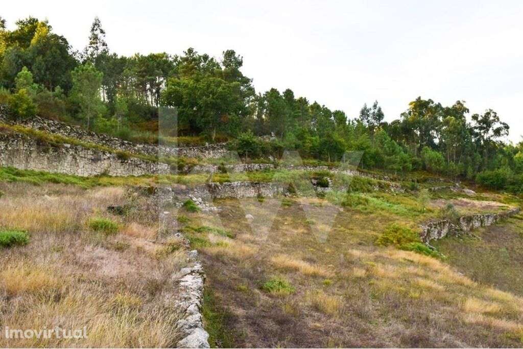 Terreno Rustico - Grande imagem: 5/10