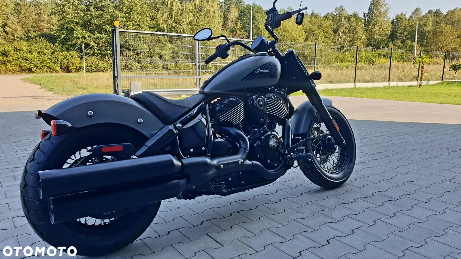 Indian Chief - 9