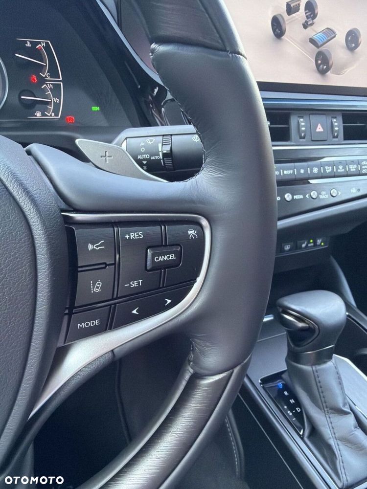 Lexus ES 300h Omotenashi - 14