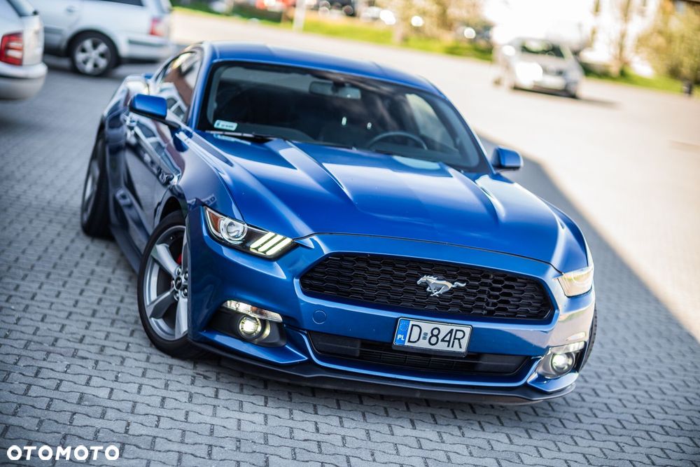 Ford Mustang - 17
