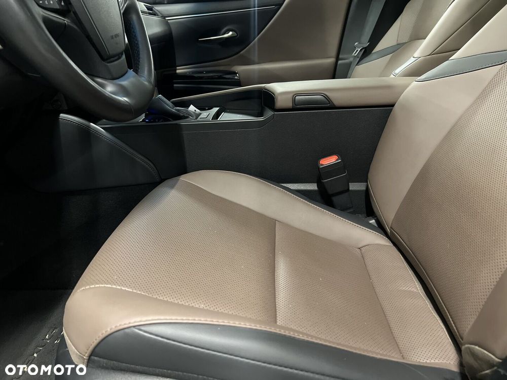 Lexus ES 300h F Sport Design - 10