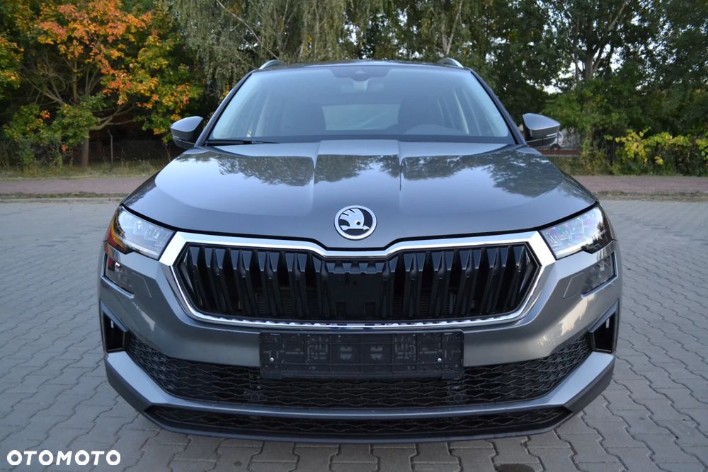 Skoda Karoq - 3
